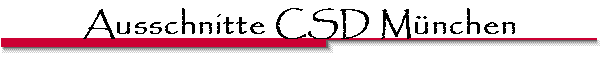 Ausschnitte CSD M�nchen