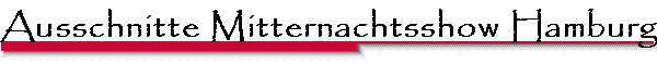 Ausschnitte Mitternachtsshow Hamburg